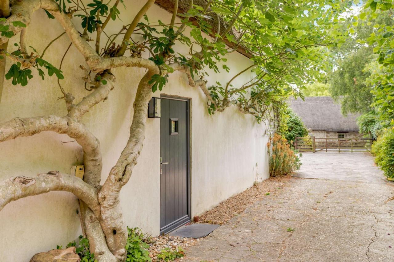 Little Thatch Lovely 2-Bed Converted Workshop Near Weymouth Radipole المظهر الخارجي الصورة